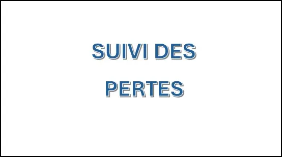Fichier Excel - Suivi des Pertes